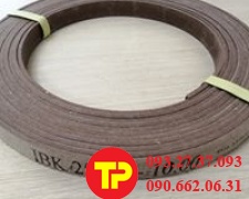 IBK 25X4