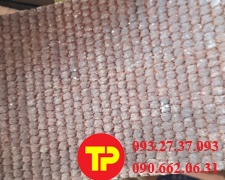 11/04