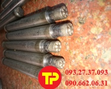 ĐẦU TÁN RIVE BÔNG MAI