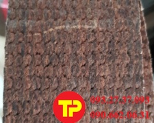 cước 100x10